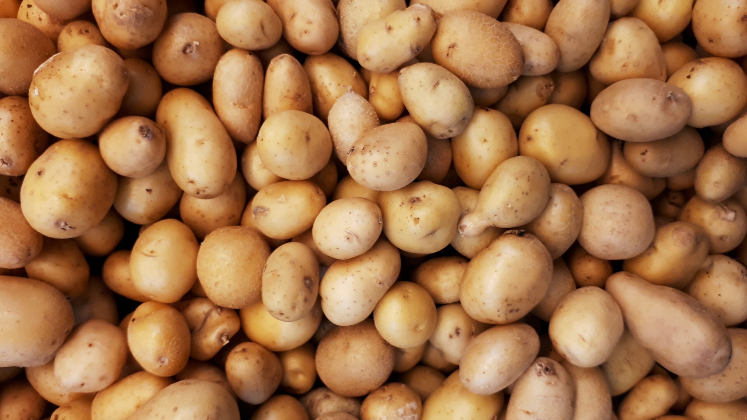 potato , spuds , spud